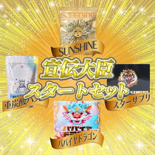 宣伝大臣スタートセット